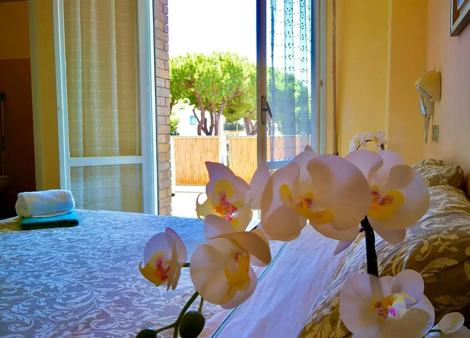 **  Hotel Rossella Rimini Italia